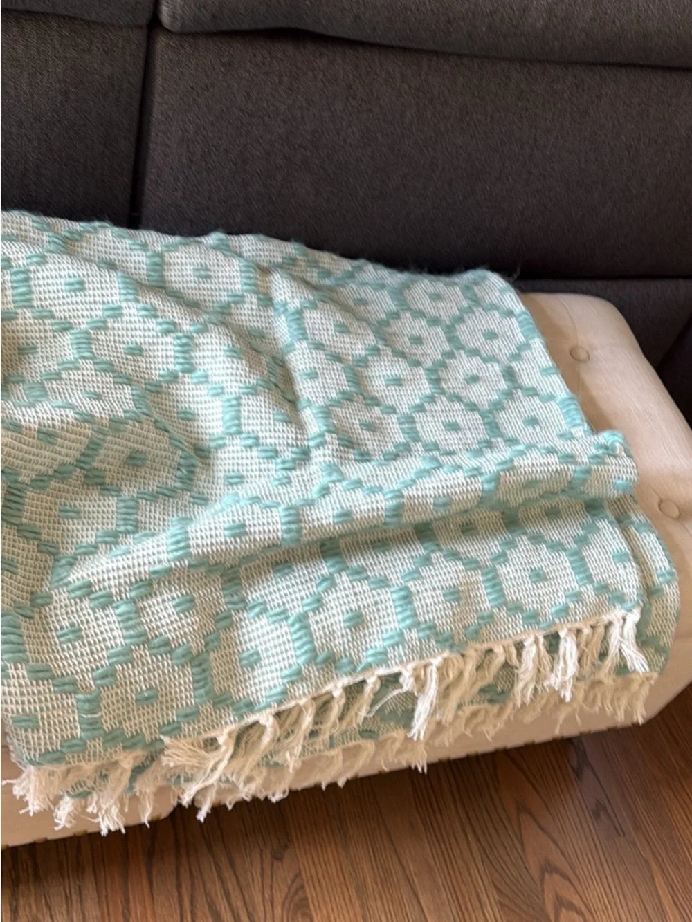 Cynthia Rowley Aqua and Cream Woven Throw